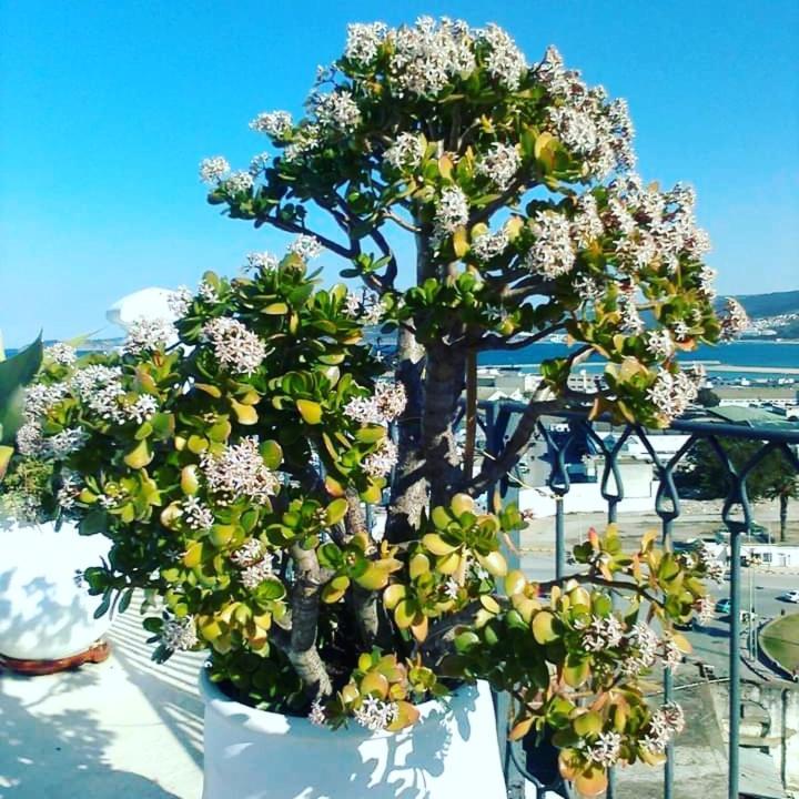 Summer House Tanger ภายนอก รูปภาพ